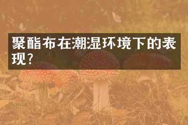 聚酯布在潮湿环境下的表现?