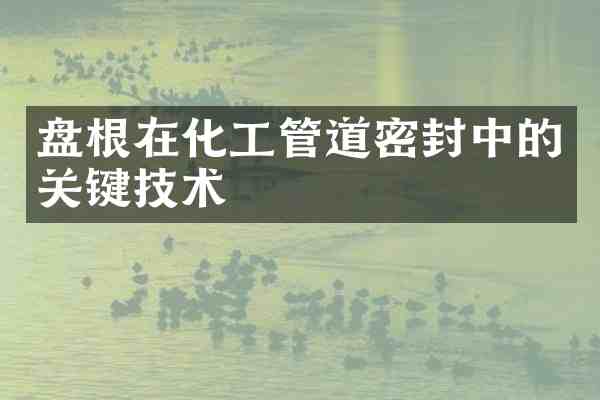 盘根在化工管道密封中的关键技术