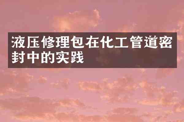 液压修理包在化工管道密封中的实践