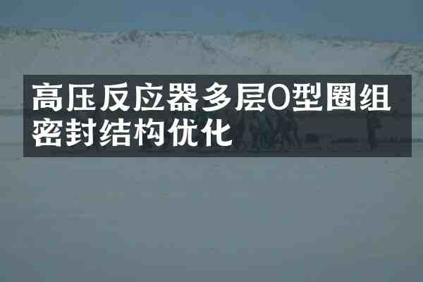 高压反应器多层O型圈组合密封结构优化
