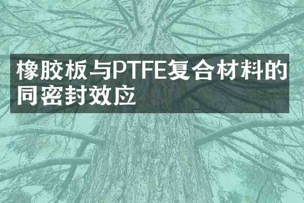 橡胶板与PTFE复合材料的协同密封效应