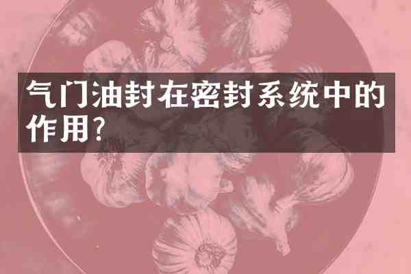 气门油封在密封系统中的作用？