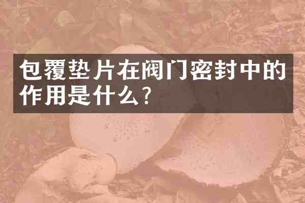 包覆垫片在阀门密封中的作用是什么?