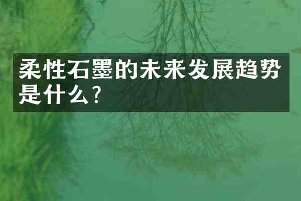 柔性石墨的未来发展趋势是什么?
