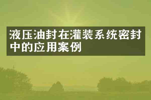 液压油封在灌装系统密封中的应用案例