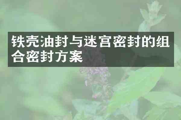 铁壳油封与迷宫密封的组合密封方案
