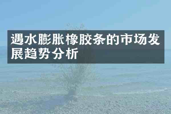 遇水膨胀橡胶条的市场发展趋势分析