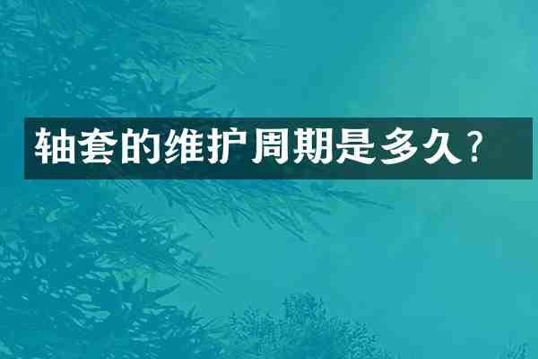 轴套的维护周期是多久?