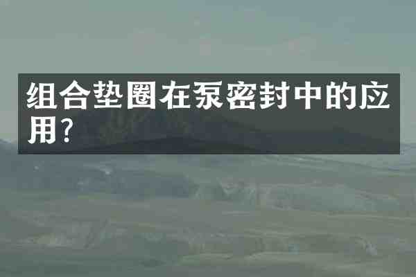 组合垫圈在泵密封中的应用?