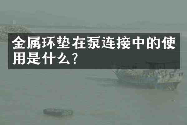 金属环垫在泵连接中的使用是什么?
