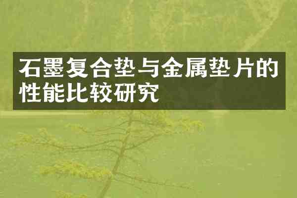 石墨复合垫与金属垫片的性能比较研究