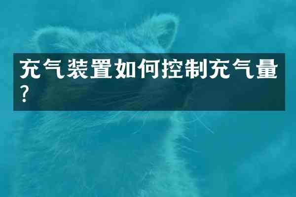 充气装置如何控制充气量?