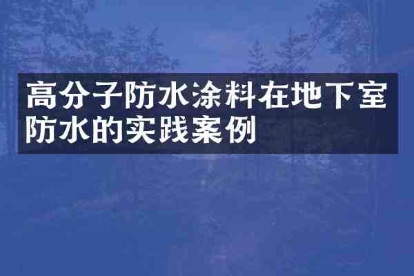 高分子防水涂料在地下室防水的实践案例