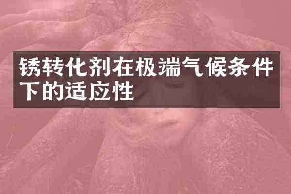 锈转化剂在极端气候条件下的适应性