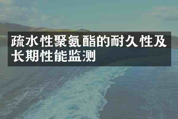 疏水性聚氨酯的耐久性及长期性能监测