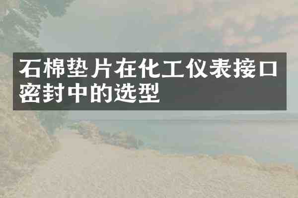 石棉垫片在化工仪表接口密封中的选型