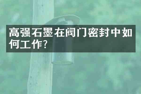 高强石墨在阀门密封中如何工作?