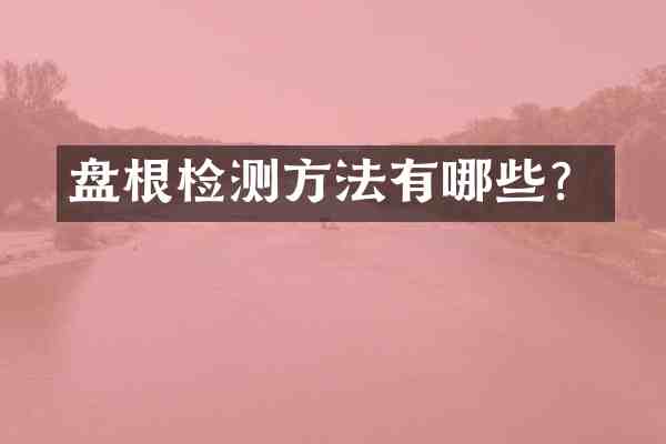 盘根检测方法有哪些?
