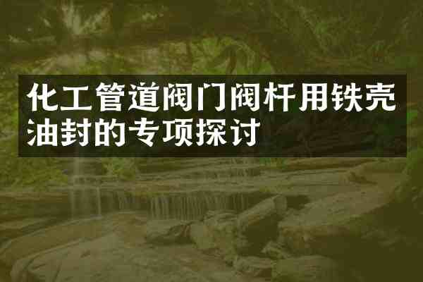 化工管道阀门阀杆用铁壳油封的专项探讨
