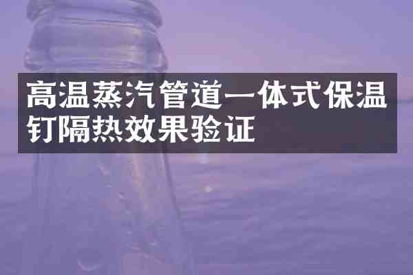 高温蒸汽管道一体式保温钉隔热效果验证