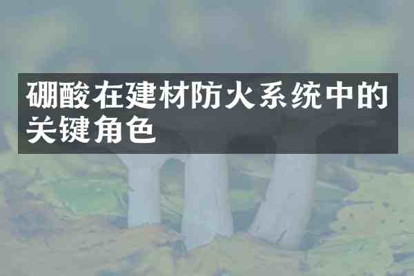 硼酸在建材防火系统中的关键角色