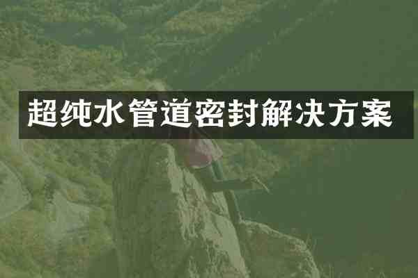 超纯水管道密封解决方案