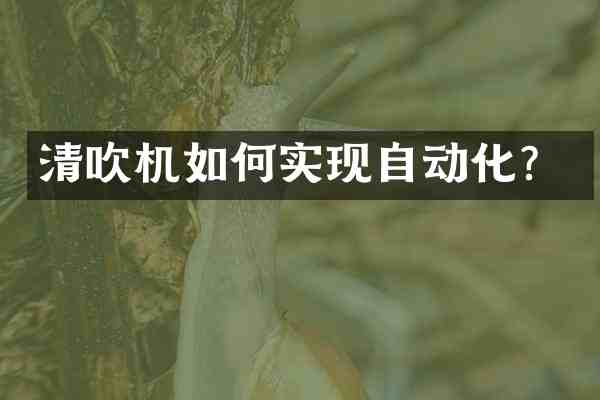 清吹机如何实现自动化？