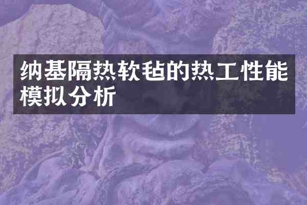 纳基隔热软毡的热工性能模拟分析