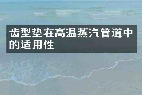 齿型垫在高温蒸汽管道中的适用性