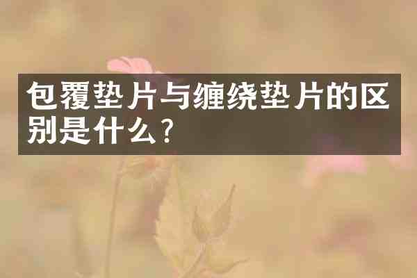 包覆垫片与缠绕垫片的区别是什么?