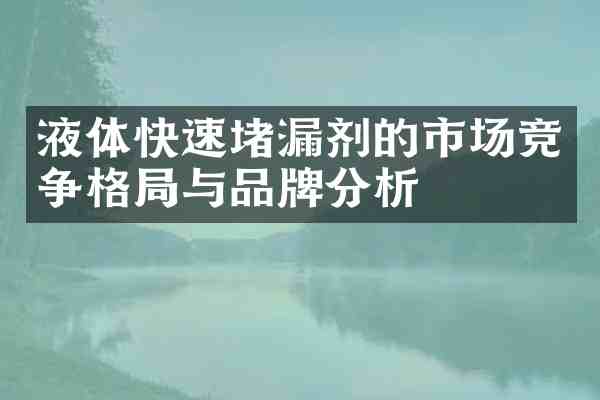 液体快速堵漏剂的市场竞争格局与品牌分析