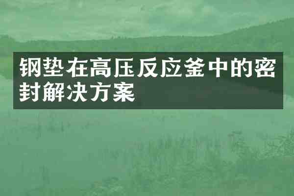 钢垫在高压反应釜中的密封解决方案