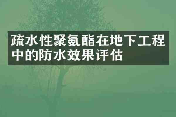 疏水性聚氨酯在地下工程中的防水效果评估
