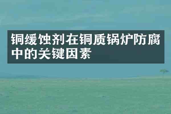 铜缓蚀剂在铜质锅炉防腐中的关键因素