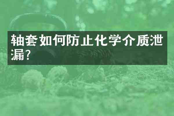 轴套如何防止化学介质泄漏?
