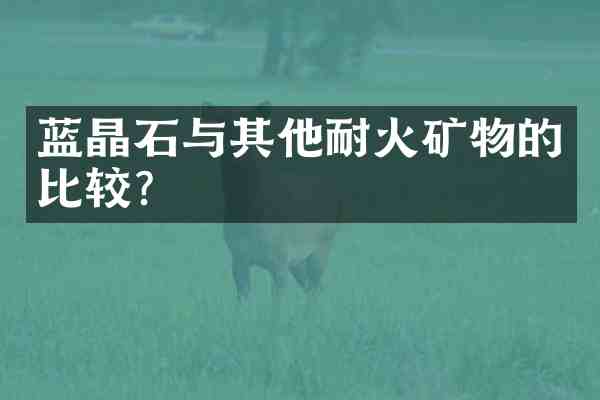 蓝晶石与其他耐火矿物的比较？