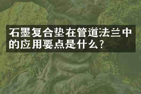 石墨复合垫在管道法兰中的应用要点是什么?