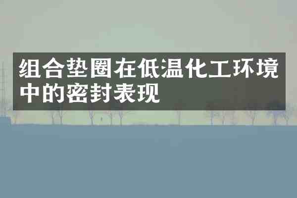 组合垫圈在低温化工环境中的密封表现