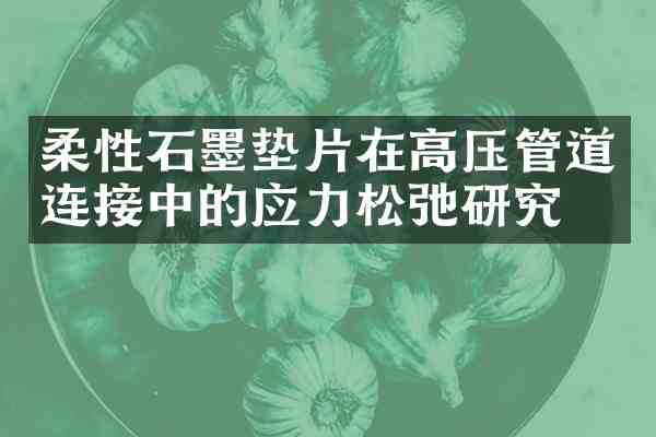 柔性石墨垫片在高压管道连接中的应力松弛研究