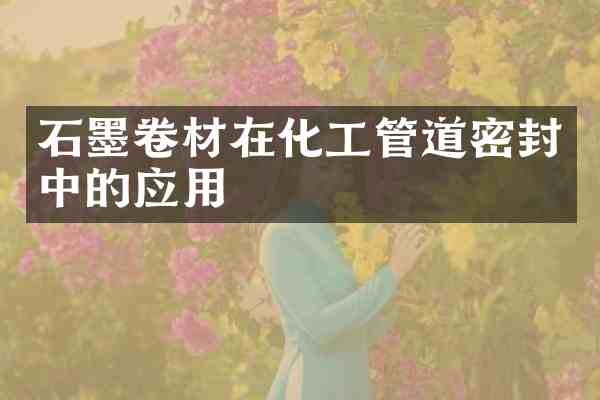 石墨卷材在化工管道密封中的应用