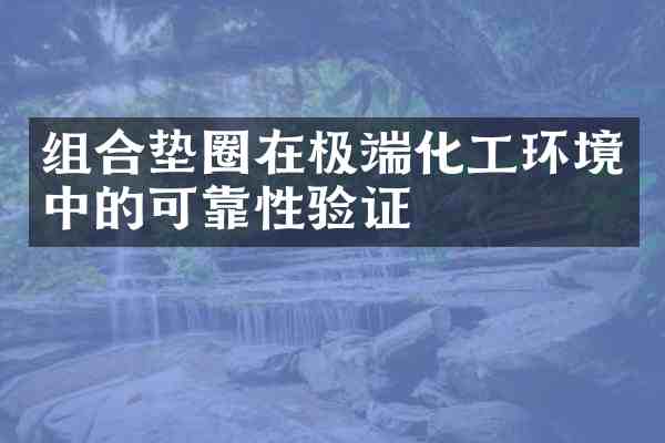 组合垫圈在极端化工环境中的可靠性验证