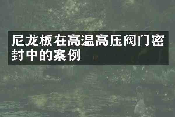 尼龙板在高温高压阀门密封中的案例