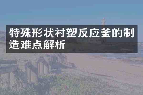 特殊形状衬塑反应釜的制造难点解析