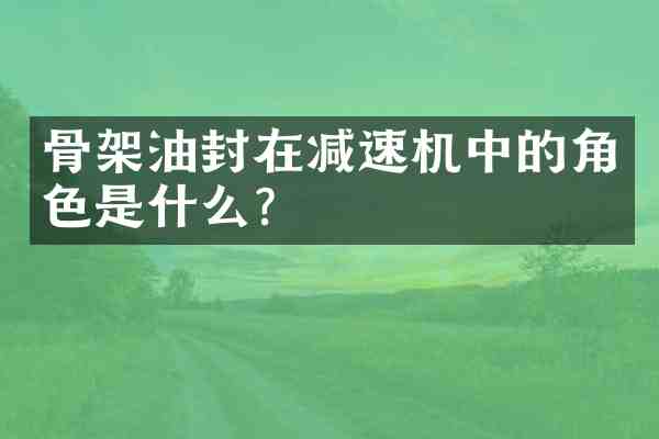 骨架油封在减速机中的角色是什么？