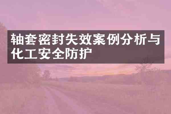 轴套密封失效案例分析与化工安全防护