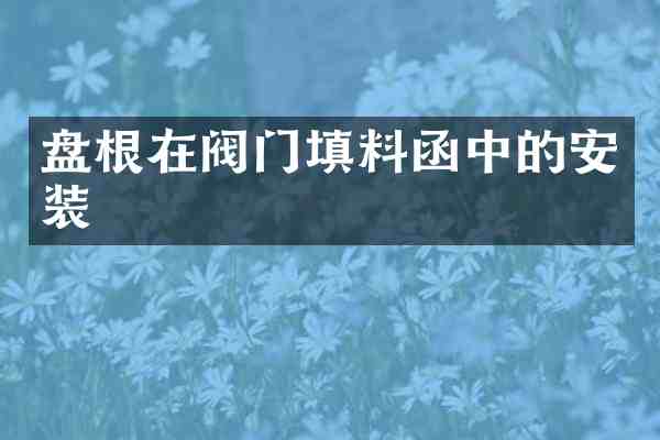 盘根在阀门填料函中的安装