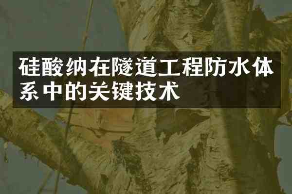 硅酸纳在隧道工程防水体系中的关键技术