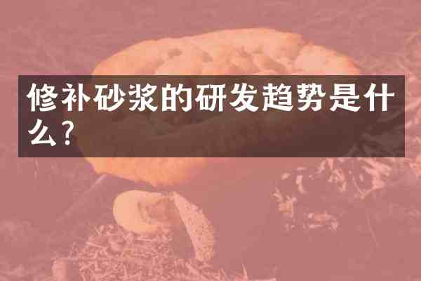 修补砂浆的研发趋势是什么?