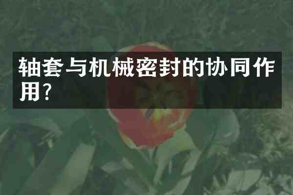 轴套与机械密封的协同作用?