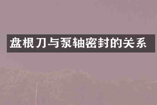 盘根刀与泵轴密封的关系